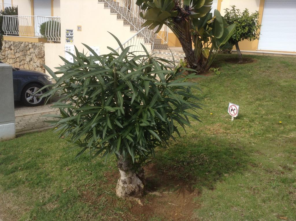 Votre appartement a Portimao Portimão Exterior foto
